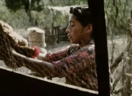 Ixcanul_st_2_jpg_sdlower_134350714021273761_big-cine_deskt.webp